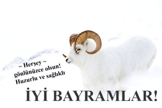 Kurban_Bayram_Mesajları_2020(Resimli)