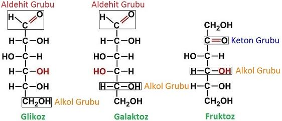 Glikozit_Bağı_Nedir_?