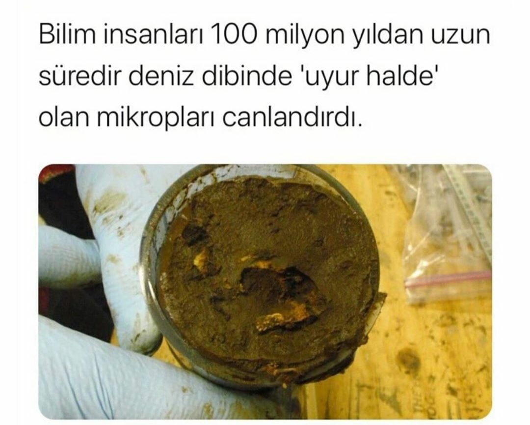 Günün_Paylaşımları_Köşesi