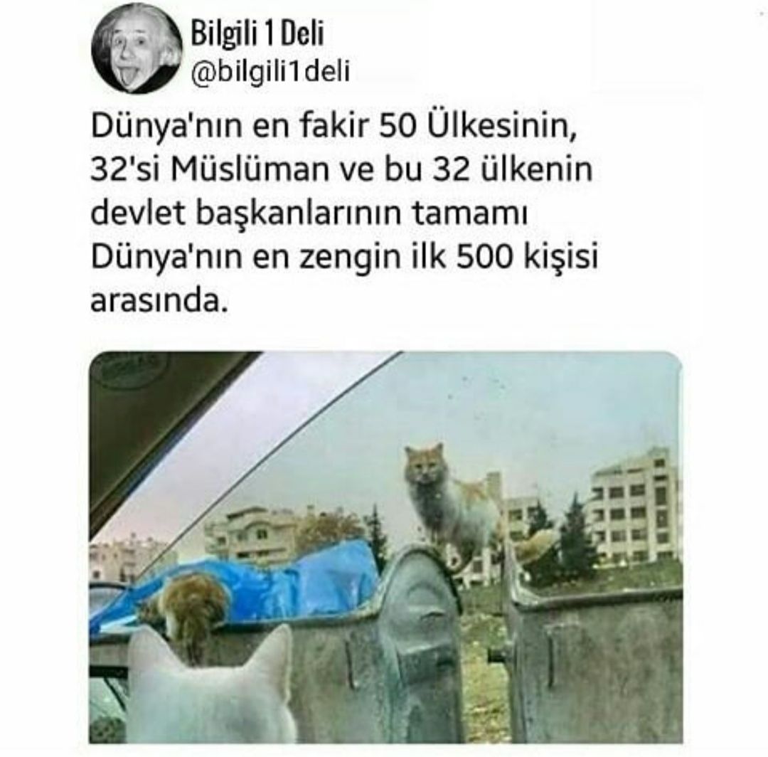 Günün_Paylaşımları_Köşesi