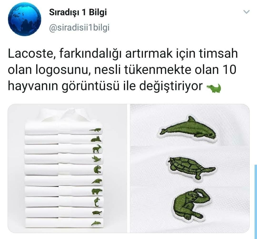 Günün_paylaşımları_köşesi