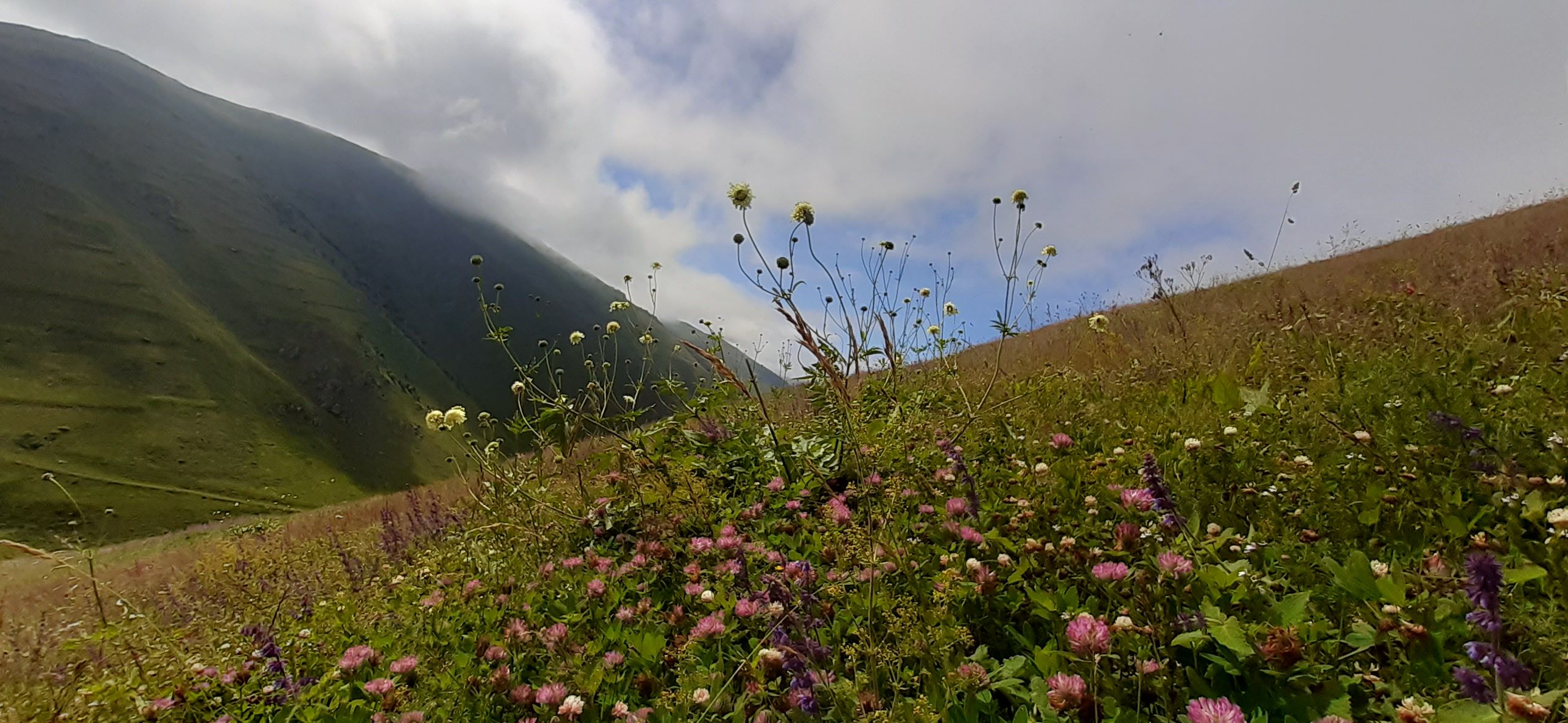 TRABZON/HANLUT/SANTA_HARABELERİ