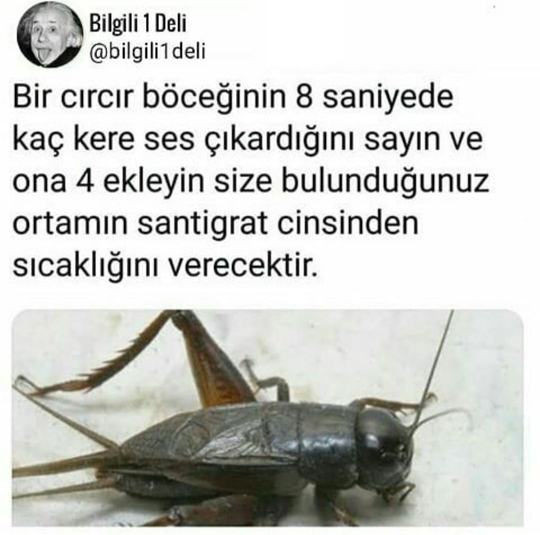 Günün_Paylaşımları_Köşesi