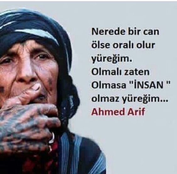 Ahmet_Arif_Sözleri