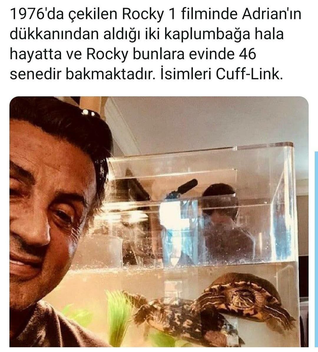 Günün_Paylaşımları_Köşesi