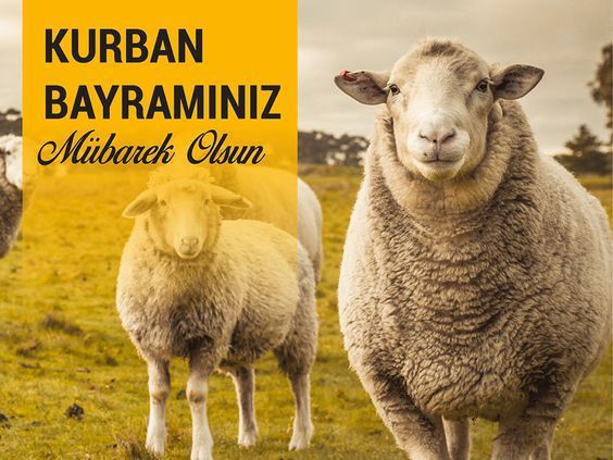 Kurban_Bayram_Mesajları_2020(Resimli)