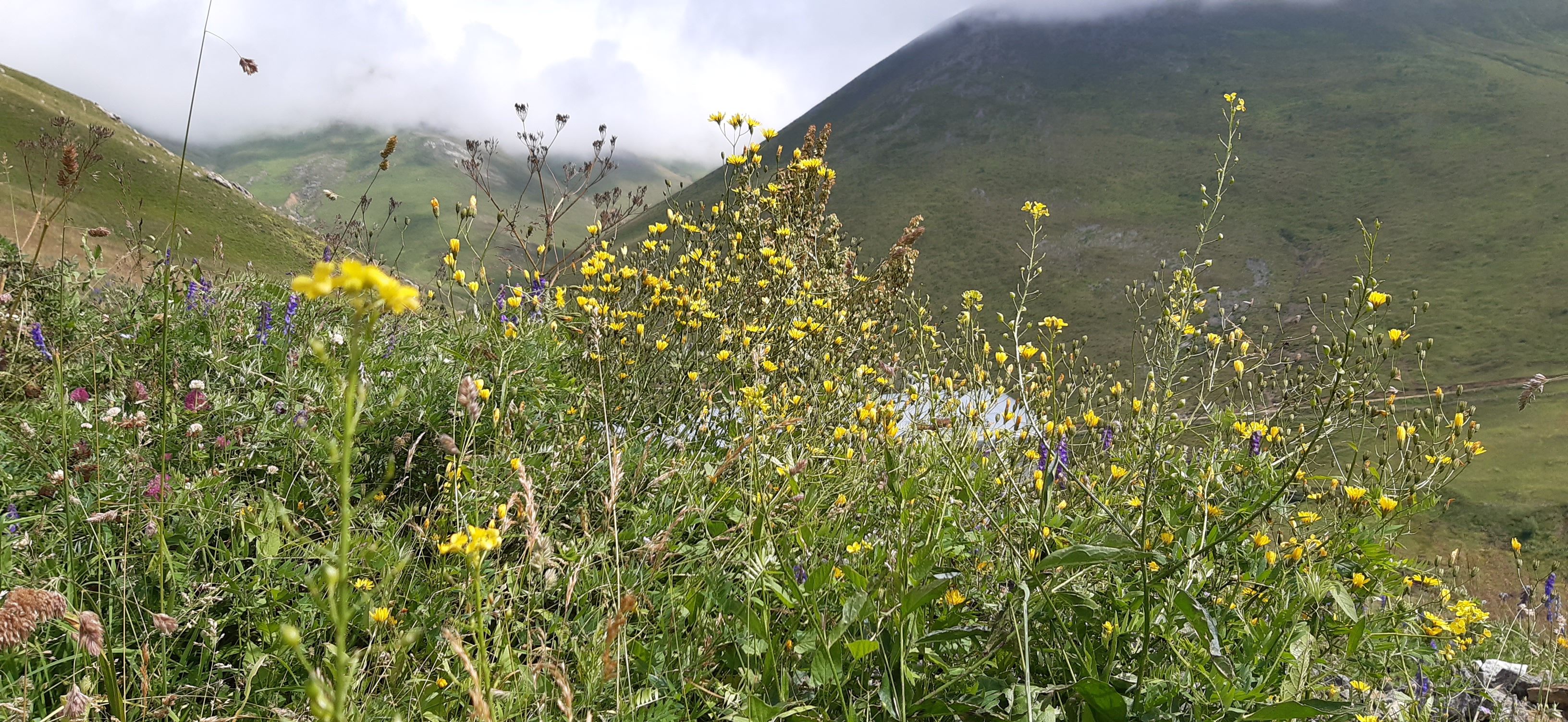 TRABZON/HANLUT/SANTA_HARABELERİ