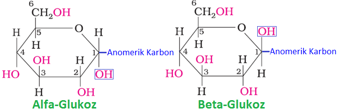 Glikozit_Bağı_Nedir_?