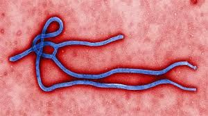 Ebola_Virüsü
