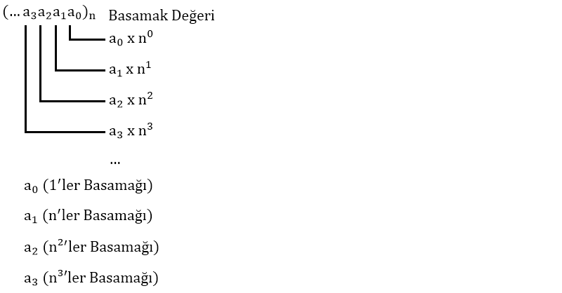 Rakam_Nedir?