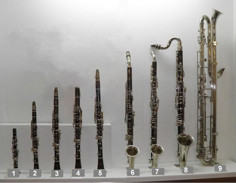 Müzik_Aleti_İsimleri_(Müzik_Aletleri_İsimleri)