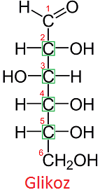 Glikozit_Bağı_Nedir_?