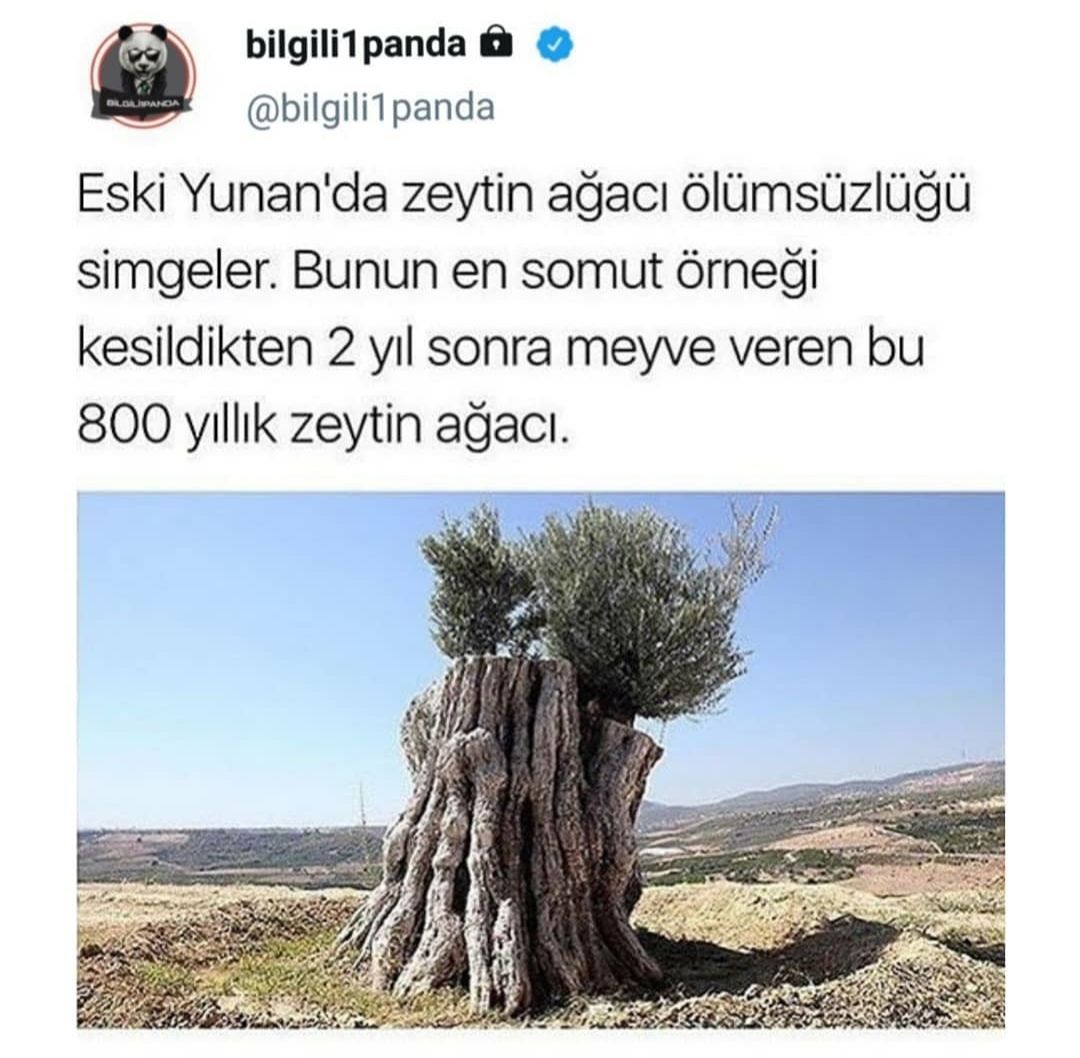 Günün_Paylaşımları_Köşesi