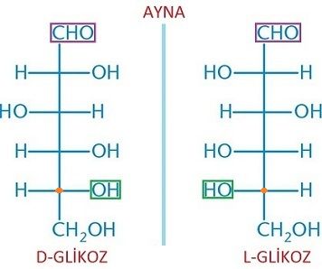 Glikozit_Bağı_Nedir_?