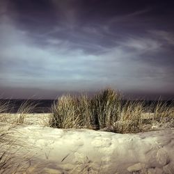 https://bylge-images.s3.amazonaws.com/dunes-4473196_1280.jpg