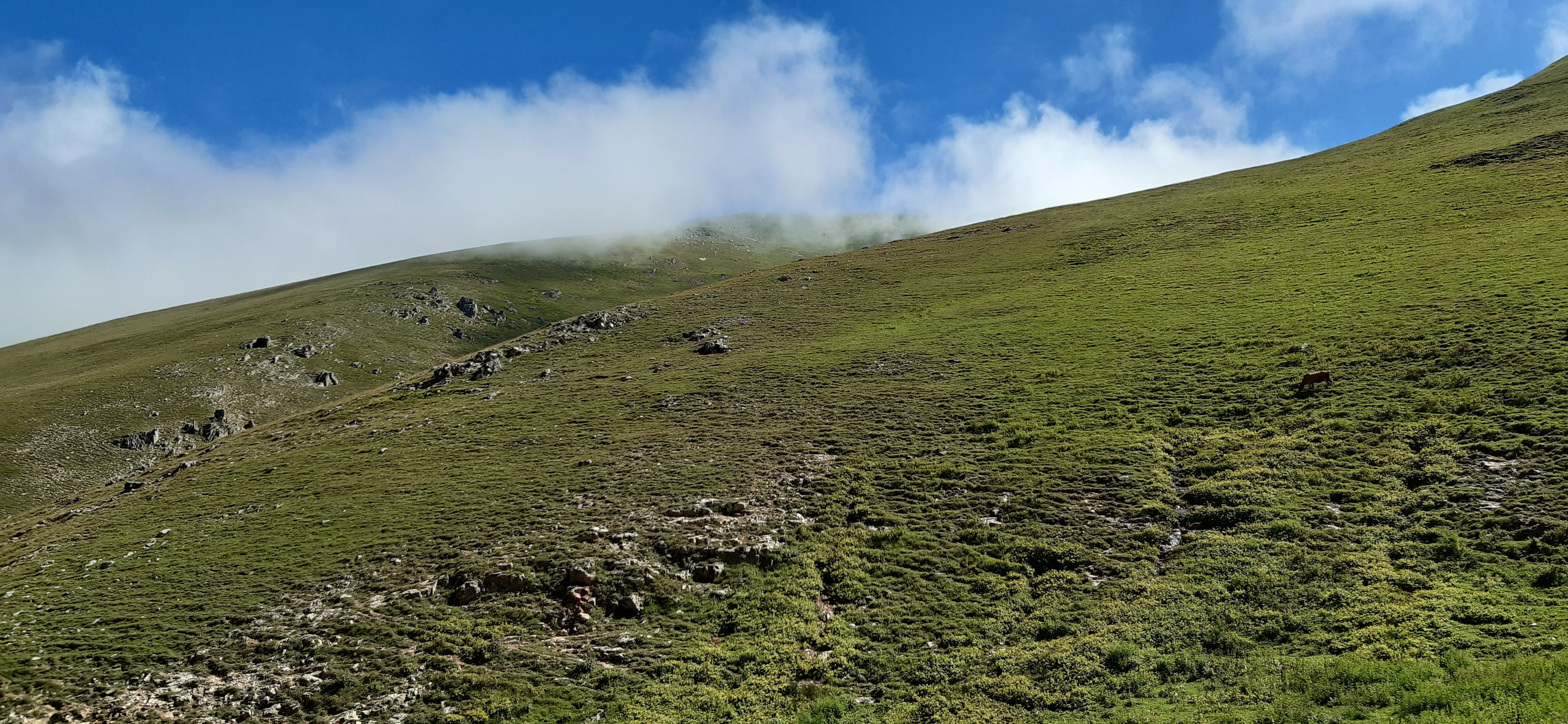 TRABZON/HANLUT/SANTA_HARABELERİ