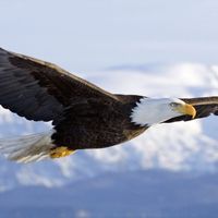 https://bylge-images.s3.amazonaws.com/maxresdefault.jpg