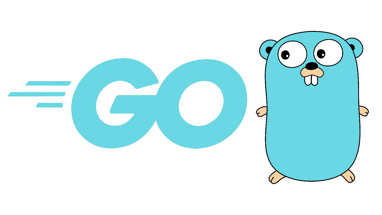 Google_Go(The_Go_-_Go_Dili_-_Go_Language)