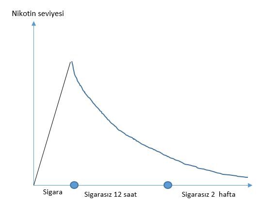 Beni_Kutlamalısın,_Sigarayı_Bıraktım