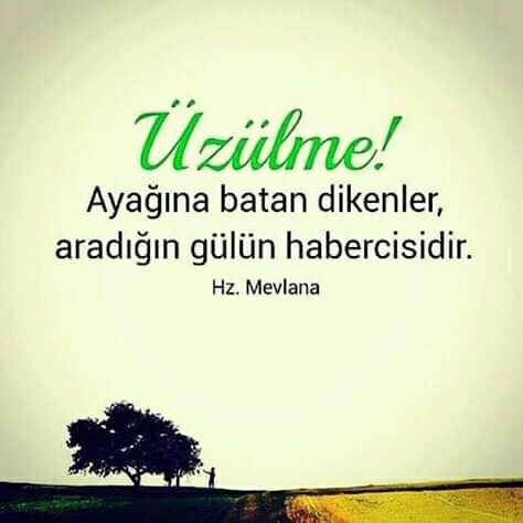 Mevlana_Sözleri:_Mevlana'dan_Ders_Niteliğinde_150_Söz