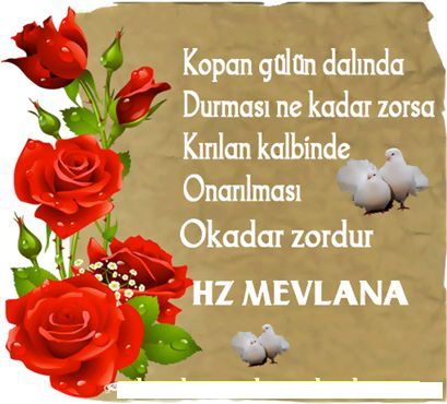 Mevlana_Sözleri:_Mevlana'dan_Ders_Niteliğinde_150_Söz